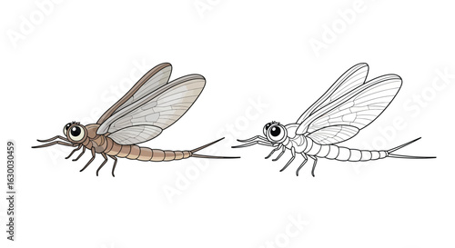 Cute Three Dimensional Cartoon Mayfly Coloring Page for Kids Fun Printable Bug Activity
