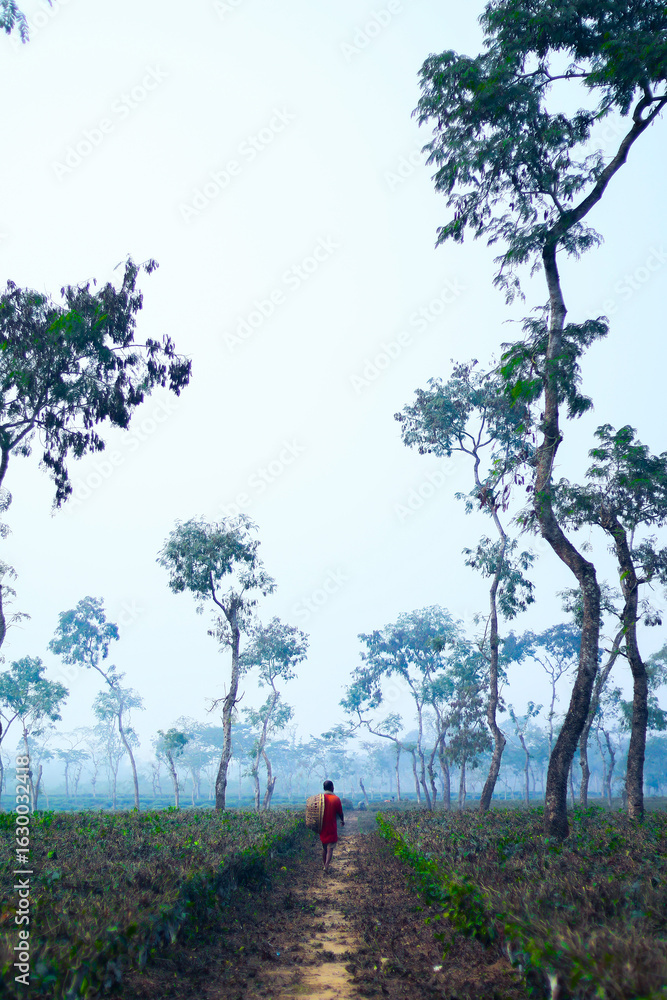A man and a woman walk along a winding path through a lush green forest A man and a woman walk along a winding path through a lush green forest