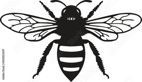 Vector art of detailed black and white vector illustration of a honey bee with wings spread and striped abdomen