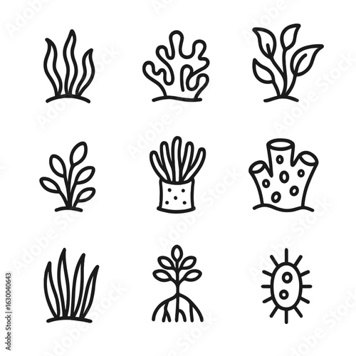 Ocean Plant Icons. Outline icon set of ocean plants: seaweed, coral, kelp, algae, seagrass, anemone, sponge, mangrove, plankton.