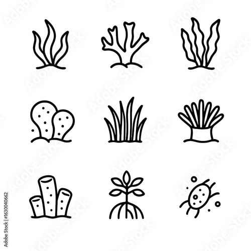 Ocean Plant Icons. Outline icon set of ocean plants: seaweed, coral, kelp, algae, seagrass, anemone, sponge, mangrove, plankton.