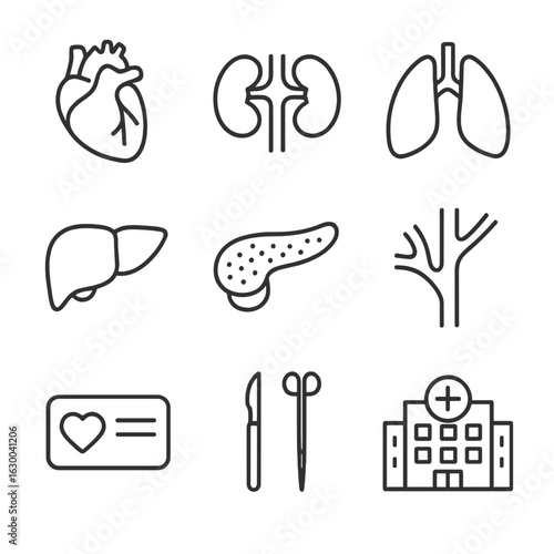 Organ Donation Icons. Outline icon set of organ donation: heart, kidney, lungs, liver, pancreas, blood vessels, donor card,