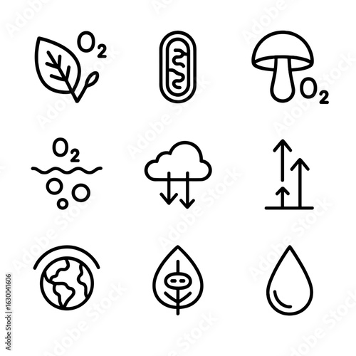 Oxygen Cycle Icons. Outline icon set of oxygen cycle in nature: photosynthesis leaf, respiration mitochondrion, decomposition