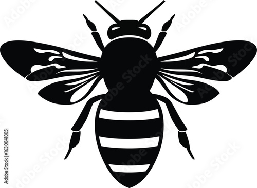 Vector art of a detailed black and white vector illustration of a bee with striped abdomen and delicate wings