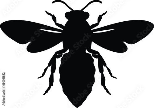 Vector art of silhouette of a bee with detailed wings and body representing nature and the importance of pollination