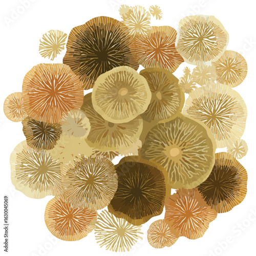 File ID(s): 1630046314 - Original name(s): fungi mycelium network isolated in White Background, fungi mycelium network vector, Flat lay vector illustration