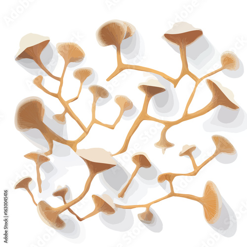 File ID(s): 1630046314 - Original name(s): fungi mycelium network isolated in White Background, fungi mycelium network vector, Flat lay vector illustration