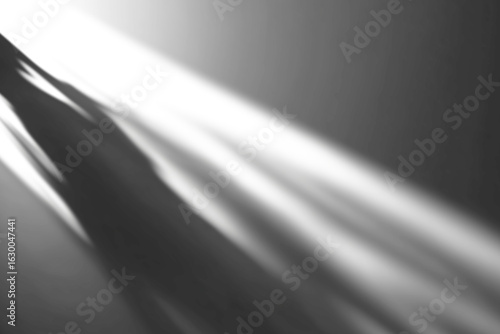 shadow overlay effects of realistic abstract shadow on wall background,Summer sunlight shadow overlay effect,light and shadow for photo interior backdrop studio mockup