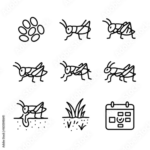 Cricket Lifecycle Icons. Outline icon set of cricket lifecycle stages: egg cluster, nymph silhouette, successive instar outline,