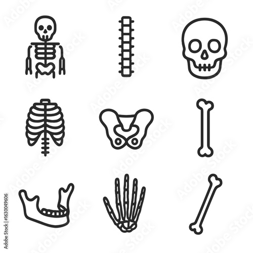 Rigid Body Icons. Outline icon set of rigid body parts: skeleton, spine, skull, ribcage, pelvis, femur, jawbone, hand bones, arm