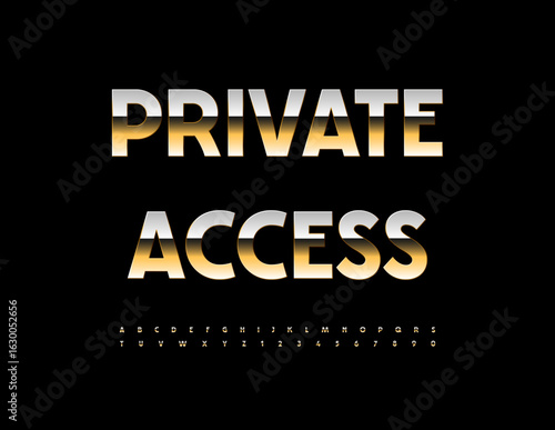 Vector Premium logo Private Access.Luxury Gold Font. Trendy Elite Alphabet Letters and Numbers set