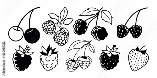 set of black and white berries