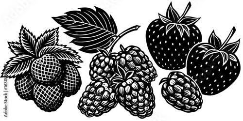 set of black and white berries