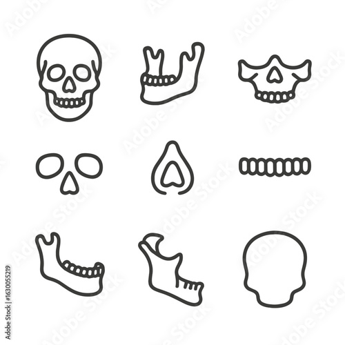 Skull Anatomy Icons. Outline icon set of skull anatomy: cranium, mandible, maxilla, eye sockets, nasal cavity, teeth, jawbone,
