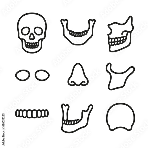 Skull Anatomy Icons. Outline icon set of skull anatomy: cranium, mandible, maxilla, eye sockets, nasal cavity, teeth, jawbone,