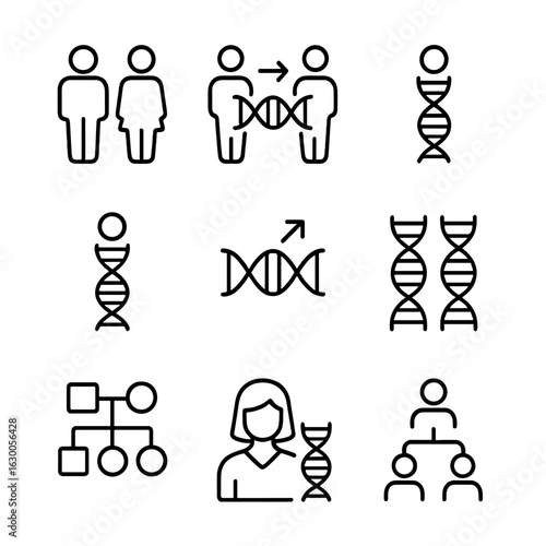 Genetic Inheritance Icons. Outline icon set of genetic inheritance: family tree, gene transfer, dominant gene, recessive gene,