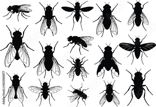 Collection of silhouettes of various flying insects including flies and other arthropods against a white background