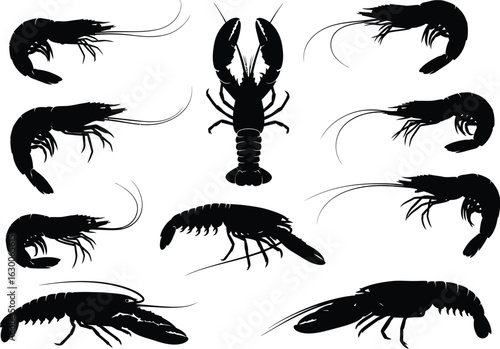 Collection of black silhouette illustrations of various crustaceans including lobsters and shrimp on a white background