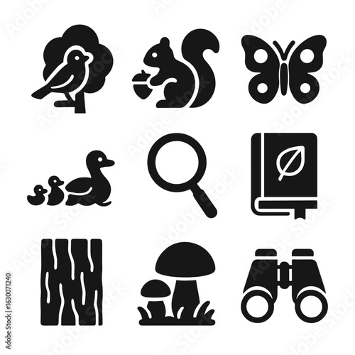 Nature Icons Collage. Solid, filled icons set of nature observation moments: bird in tree, squirrel with acorn