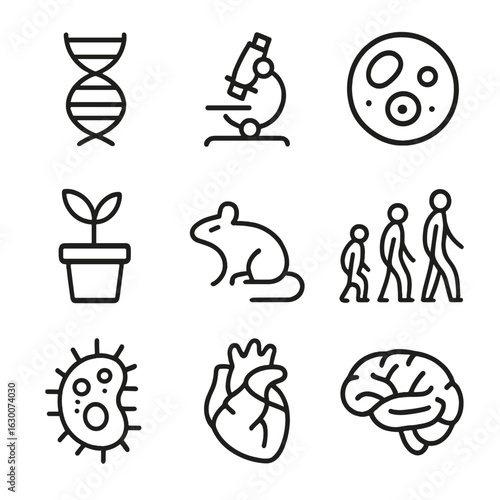Life Science Icons. Outline icon set of life sciences: DNA strand, microscope, cell, plant, animal, evolution, bacteria, heart,