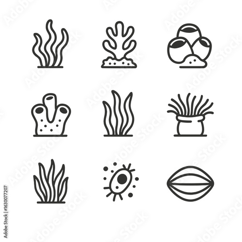 Marine Life Icons. Outline icon set of shipwreck marine life: algae, coral, barnacle, sponge, kelp, anemone, seaweed, plankton,