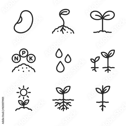 Plant Growth Icons. Outline icon set of plant germination process: seed coat, seedling, cotyledons, soil