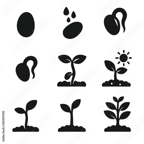 Plant Growth Icons. Solid, filled icons set of seed germination stages: dry seed, imbibition, radicle