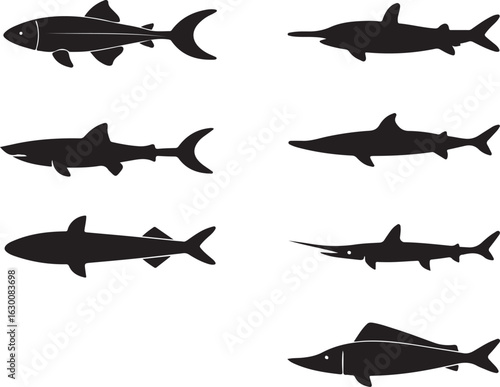 Set of various fish silhouettes isolated