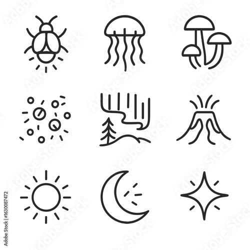 Natural Glow Icons. Outline icon set of natural glows: firefly, bioluminescent jellyfish, glowing mushrooms, phosphorescent