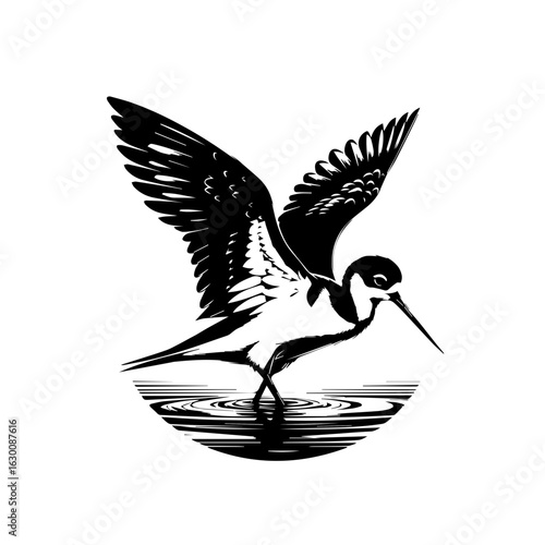 Black and white illustration of a wading bird with wings spread
