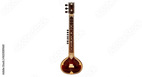sitar elegant indian classical music instrument stock photo