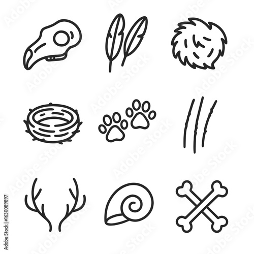 Nature's Remains Icons. Outline icon set of remains in nature: animal skull, feathers, fur, nests, footprints, claw marks, shed