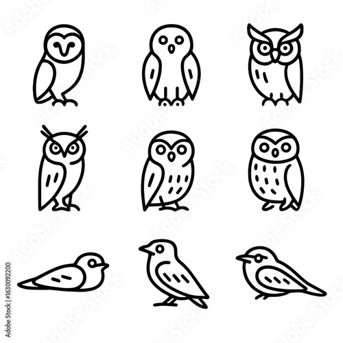 Nocturnal Bird Icons. Outline icon set of nocturnal bird species: barn owl, snowy owl, great horned owl, long-eared owl,