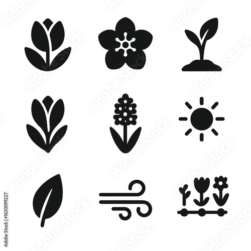 Spring Flower Icons. Solid, filled icons set of spring flower awakening: tulip bloom, cherry blossom, daffodil