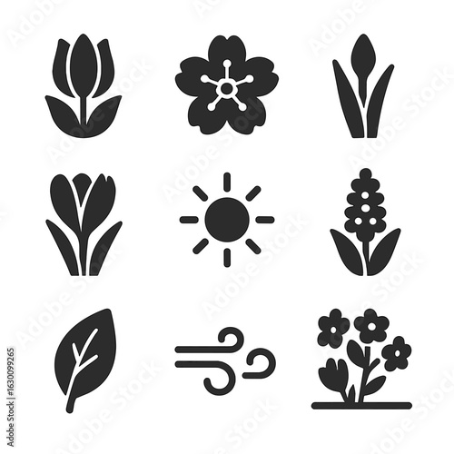 Spring Flower Icons. Solid, filled icons set of spring flower awakening: tulip bloom, cherry blossom, daffodil