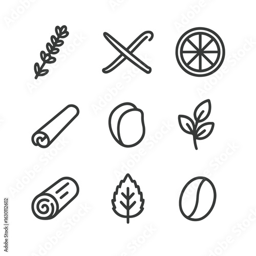 Scented Candle Icons. Outline icon set of scented candle elements: lavender sprig, vanilla pod, citrus slice, cinnamon stick, rose