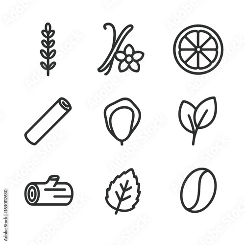 Scented Candle Icons. Outline icon set of scented candle elements: lavender sprig, vanilla pod, citrus slice, cinnamon stick, rose