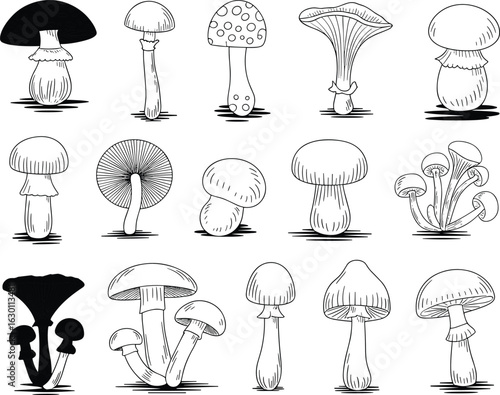  Mushroom illustrations, fungi vector set, diverse mushroom shapes, spotted caps, gilled fungi, nature clipart, mycology design, forest elements, botanical icons.eps