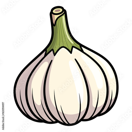 A vibrant illustration of a whole garlic bulb, a concept for healthy cooking ingredients and pungent seasoning.
