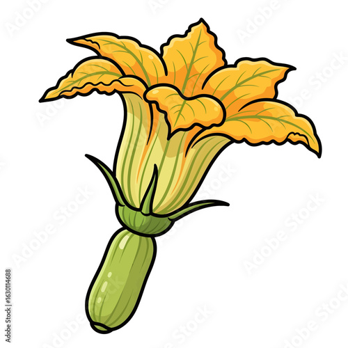 Detailed cartoon illustration of a fresh yellow zucchini blossom. Vibrant squash flower isolated for culinary or gardening concepts.