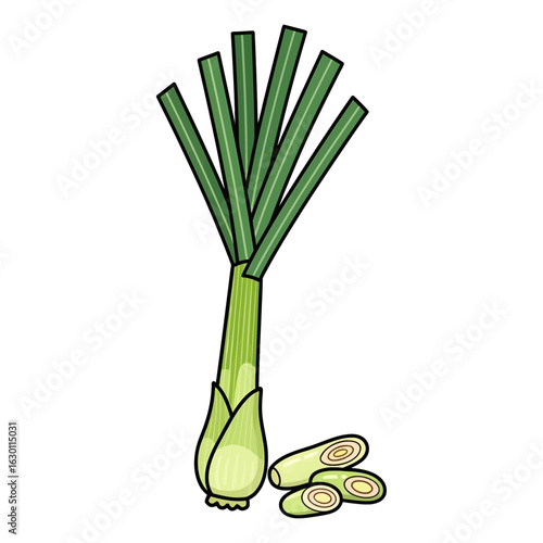 Fresh lemongrass stalk and chopped slices, an aromatic herb for cooking. Vector illustration of a culinary ingredient isolated on a white background.