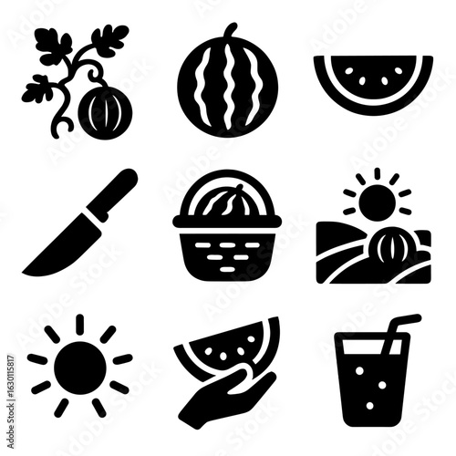 Watermelon Icon Set. Solid, filled icons set of watermelon harvesting and eating: watermelon vine, ripe