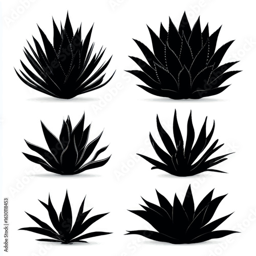 agave silhouette set, Black & White silhouette set