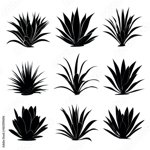 agave silhouette set, Black & White silhouette set