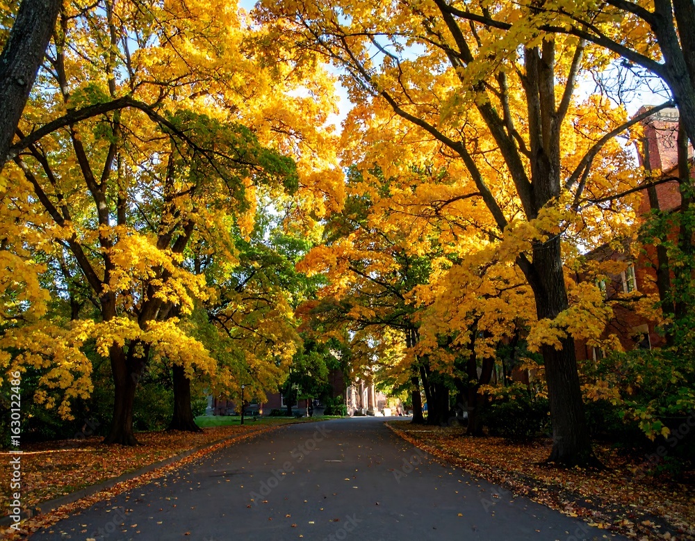 Naklejka premium Autumnal path beneath vibrant golden trees