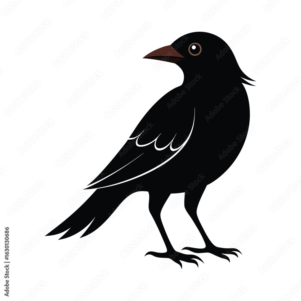 Fototapeta premium Blackbird Silhouette Vector Illustration Graphic Download