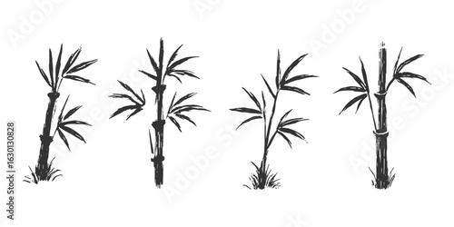 Set of bamboo plants illustrated in a black and white style with natural brush stroke detailing.