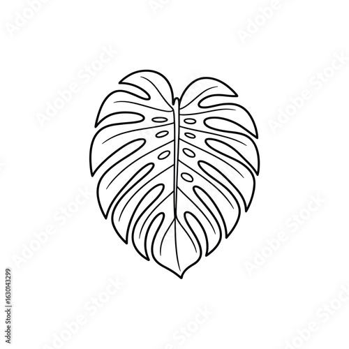 Monstera Deliciosa Leaf Line Art Botanical Illustration Detailed Outlines Nature Inspired Design