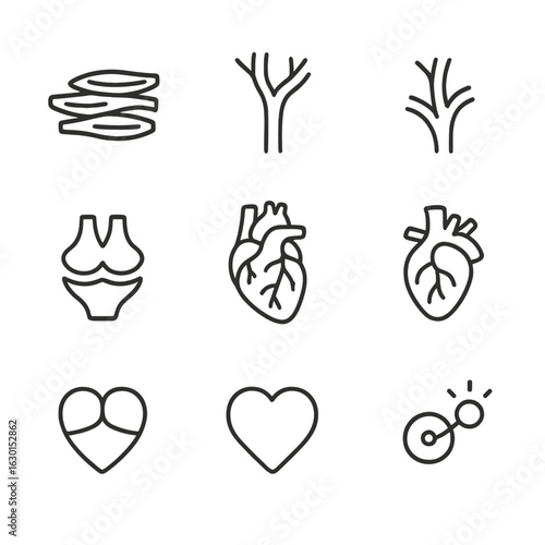 Heart Anatomy Icons. Outline icon set of heart anatomy: heart muscle, arteries, veins, valves, aorta, ventricles, atria, blood