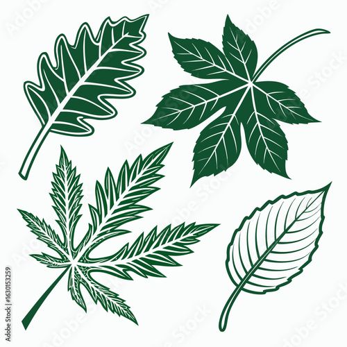 green leaves isolated on white